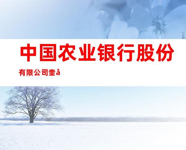 中国农业银行股份有限公司奎屯苏兴滩支行
